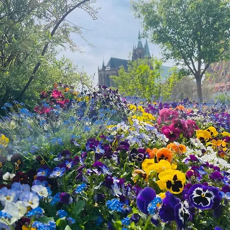 Genießen Erfurt